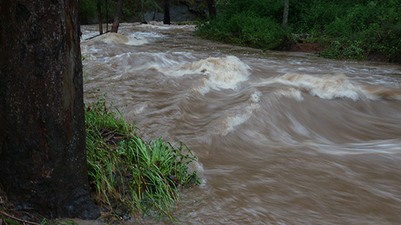 2013 Jan Aust Day flood CrossingP1040951_web