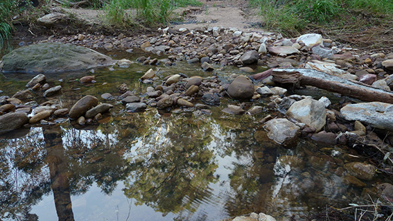 2013 Jan-Feb CrossingP1050018_web