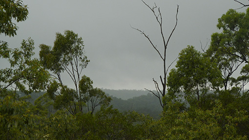 Grey&Rainy_P1040940_web