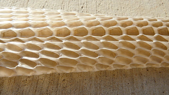 P1050525_scale pattern1_web