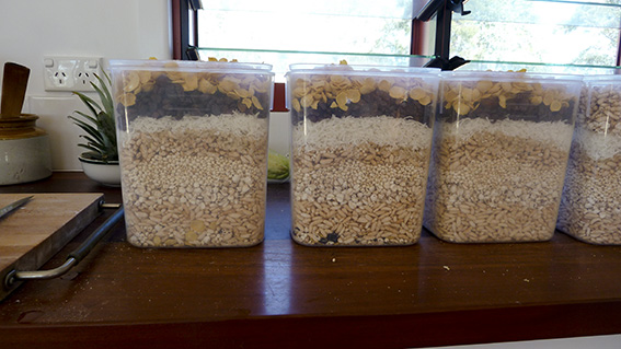 P1050860_muesli bins_web