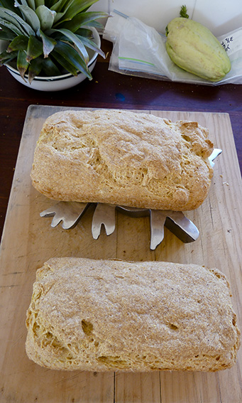 P1050862_GF bread loaves_web