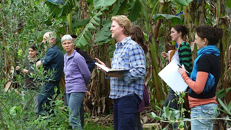 An outdoor class in the food forest