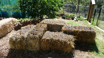 20130417_P1050588_blog