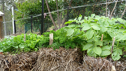 20130629_P1050992_blog