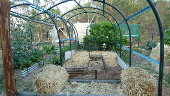 P1060236 (1)_101213_Chili Tunnel_small