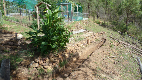 P1060556_04032014_Fanya Juu_small