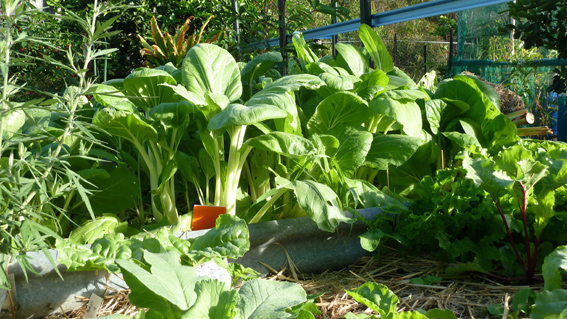 P1060657_end of Chili Tunnel_small