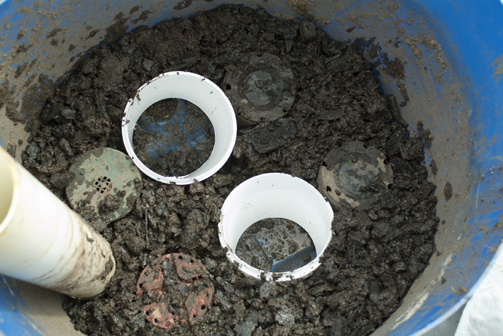 DSCF4693_Sept 7 2014_Wicking Pot