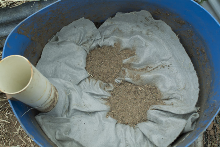 DSCF4695_Sept 7 2014_Wicking Pot
