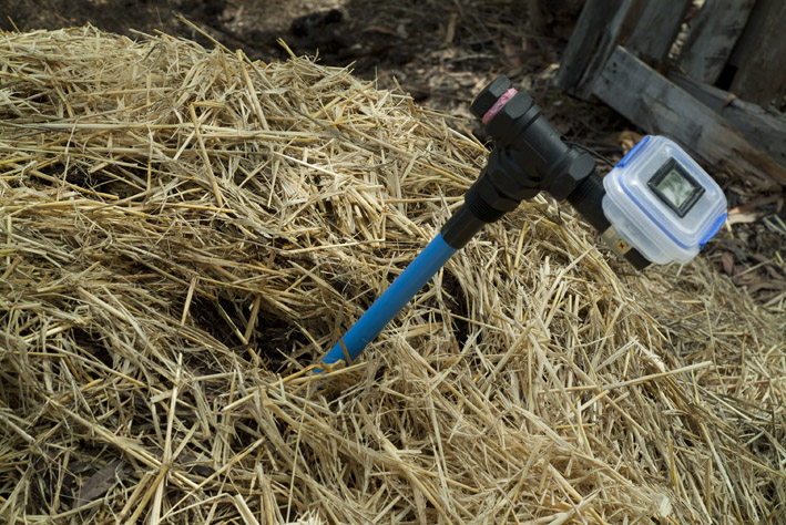 DSCF4765_in compost_small