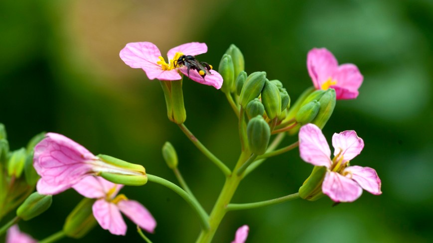 DSCF4777 copy_crop_small