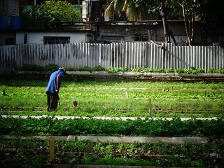 12698826744_0aee3c7c16_n